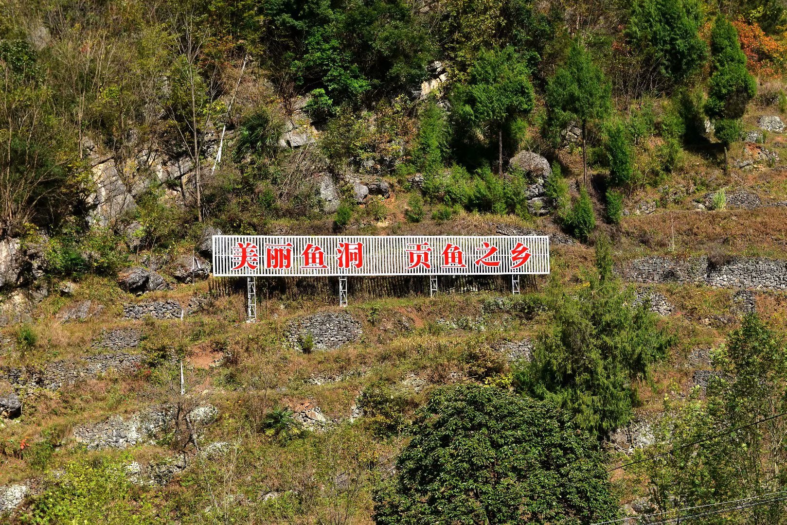 四川山清水秀的村庄,四川十大最美丽乡村