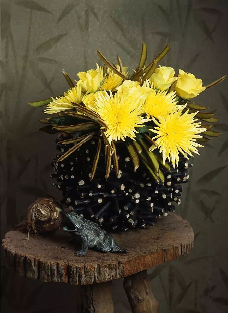 冬季切花菊,银叶菊鲜切花搭配