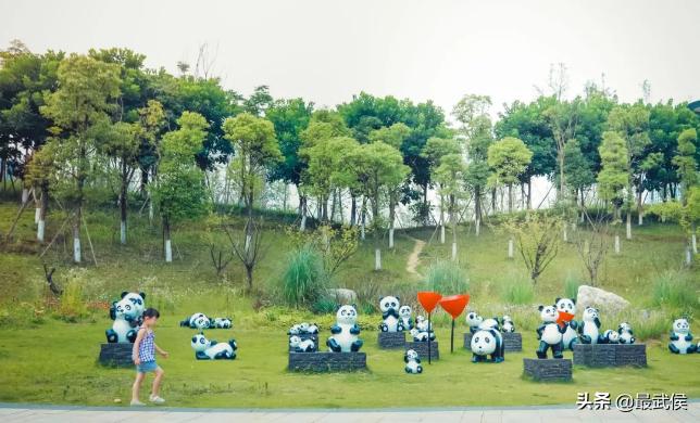 世警会入场式,世警会场地介绍