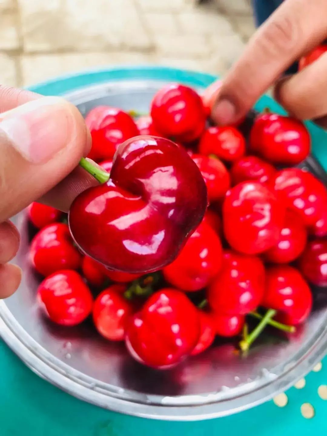 陕西樱桃采摘季节是几月份,陕西最近摘樱桃的地方