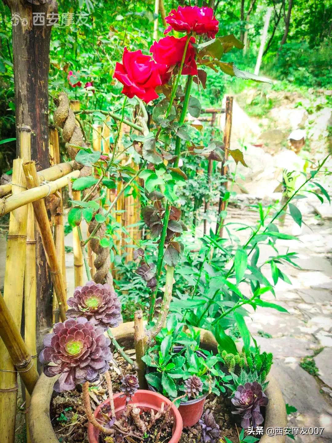 说好的阴天变成晴天,说好的晴天变成阴天