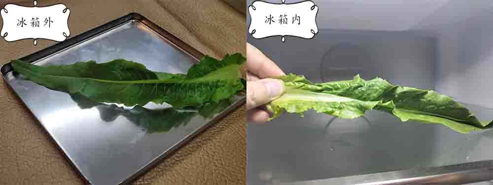 美的冰箱322升多少钱,美的532升对开门冰箱评测