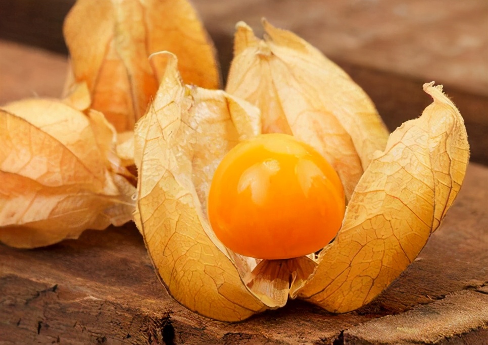 闻所未闻的东*姑北**娘儿