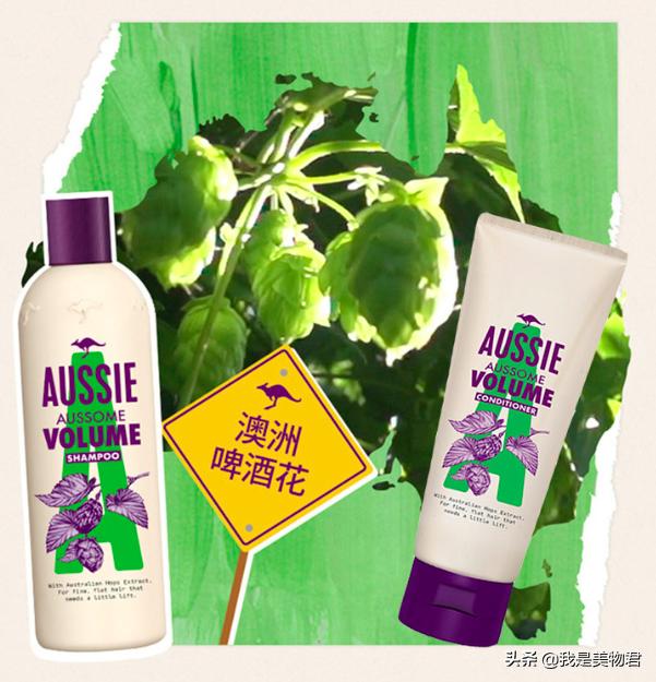 用什么洗发水既能去油又能蓬松,头发炸毛适合什么洗发水