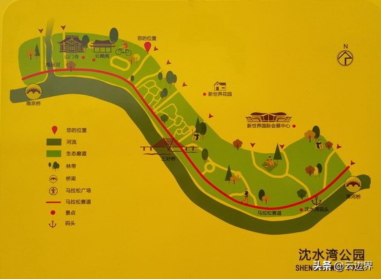 中国足球唯一一次出线,中国足球世界杯在哪里举行