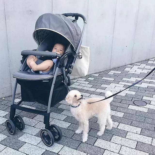 宝妈日本必买清单,宝妈不要贪便宜购买三无产品