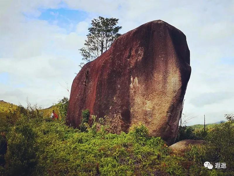 温州居然有这么美的小众景点,温州青龙山风景区在哪里