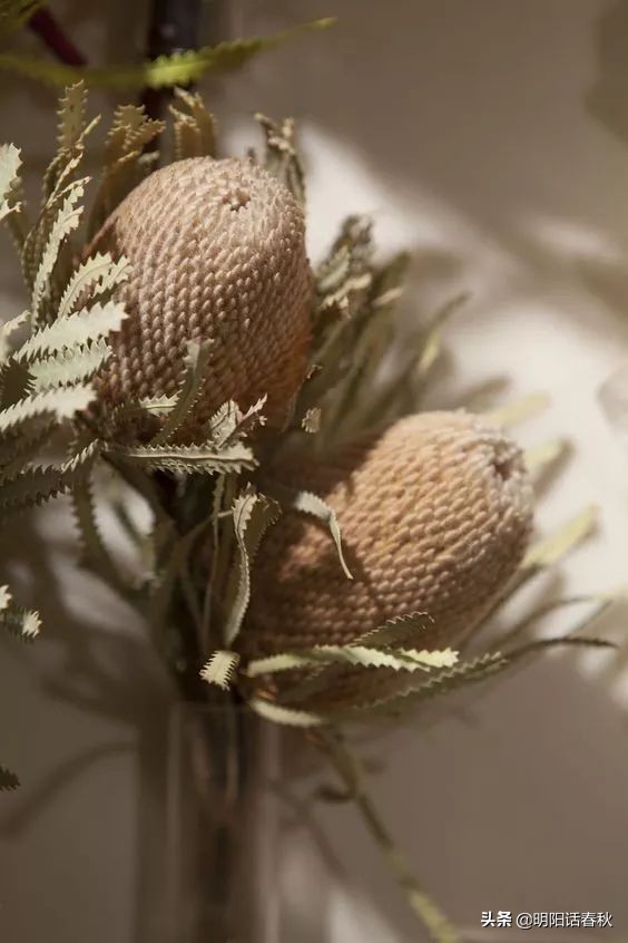 如何制作干花使其可以永久保存,如何制作干花书签