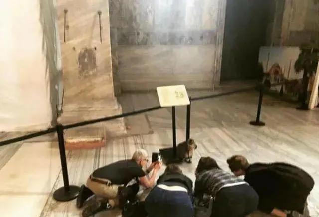 去土耳其当猫好吗,在土耳其做一只幸福的猫