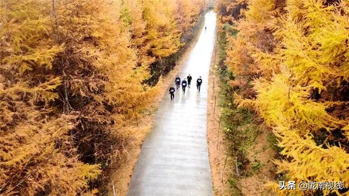 椋庡摜寰掓鐩存挱,闄囧崡椋庡摜璧勮