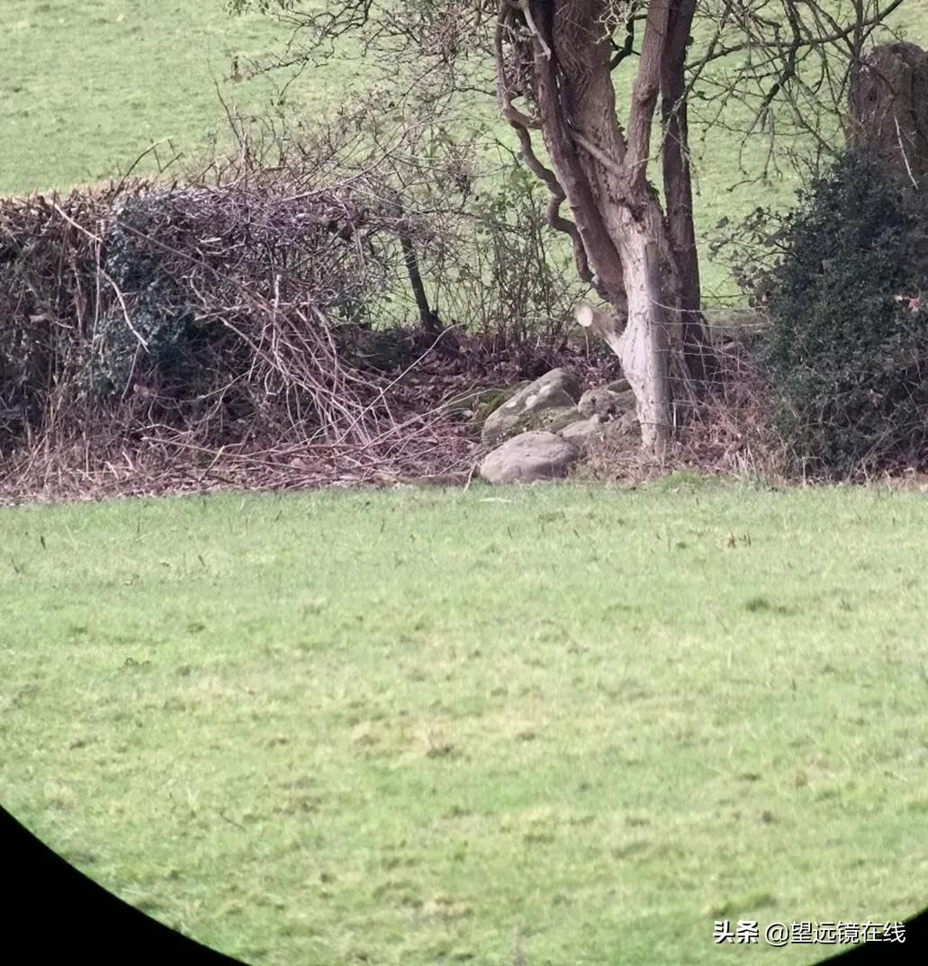 Vortex沃特斯Razor刀锋UHD18x56评测