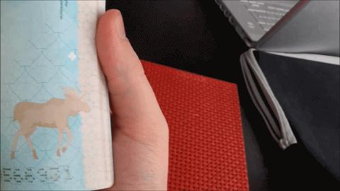 全球护照排名最后十个,全球十大顶级国际护照