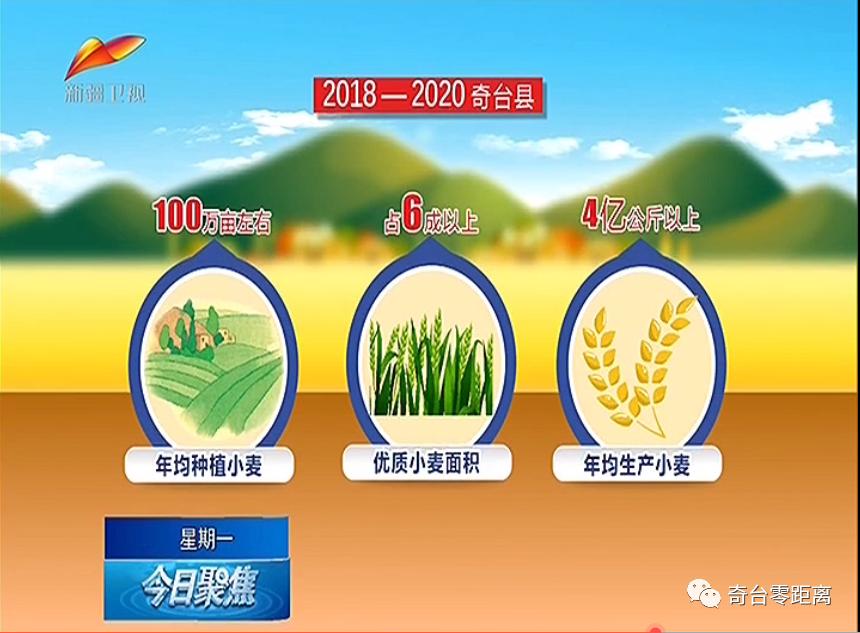 关于做好六稳六保工作的提示函,用心用情用力落实六稳六保