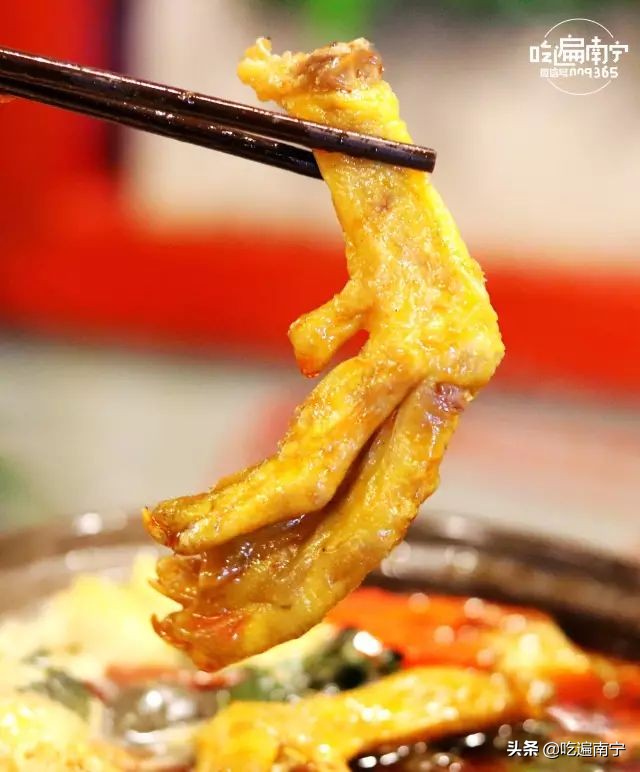 南宁田螺鸭脚煲小店推荐,南宁玉洞田螺鸭脚煲推荐