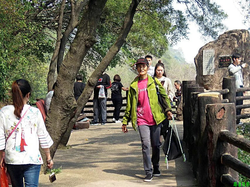 广州莲花山景点,岭南莲花山全景