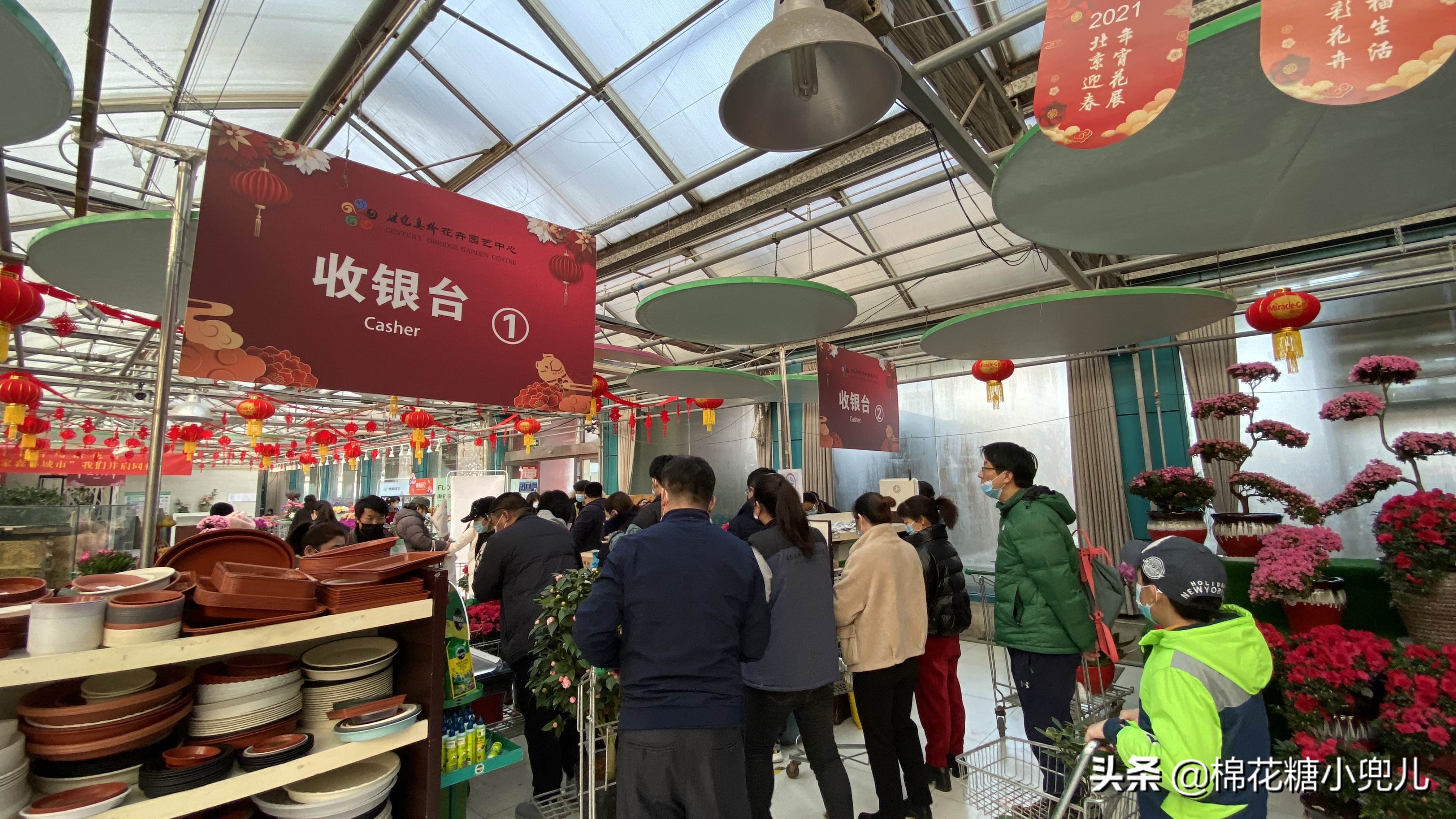 北京最大花卉绿植市场,北京最便宜绿植花卉市场