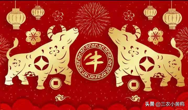 明年是辛丑年，“一日得辛，二人分六饼，九屠共猪”，啥意思？