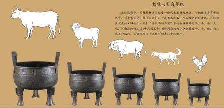 六畜兴旺为什么是指猪呢,猪为什么离不开圈狼能横行天下