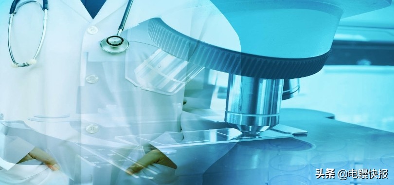 普门科技年报,普门科技研发投资价值