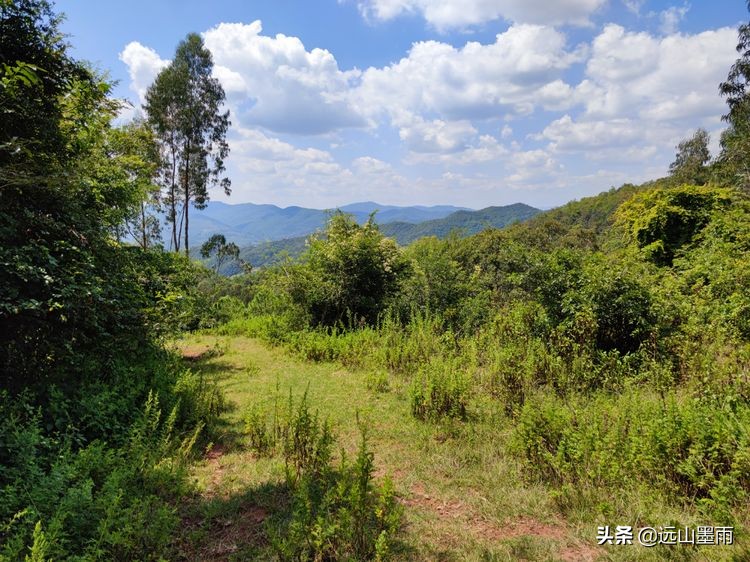 徒步寻访滇西大马路、走“九关十八铺”系列活动之四：回蹬关