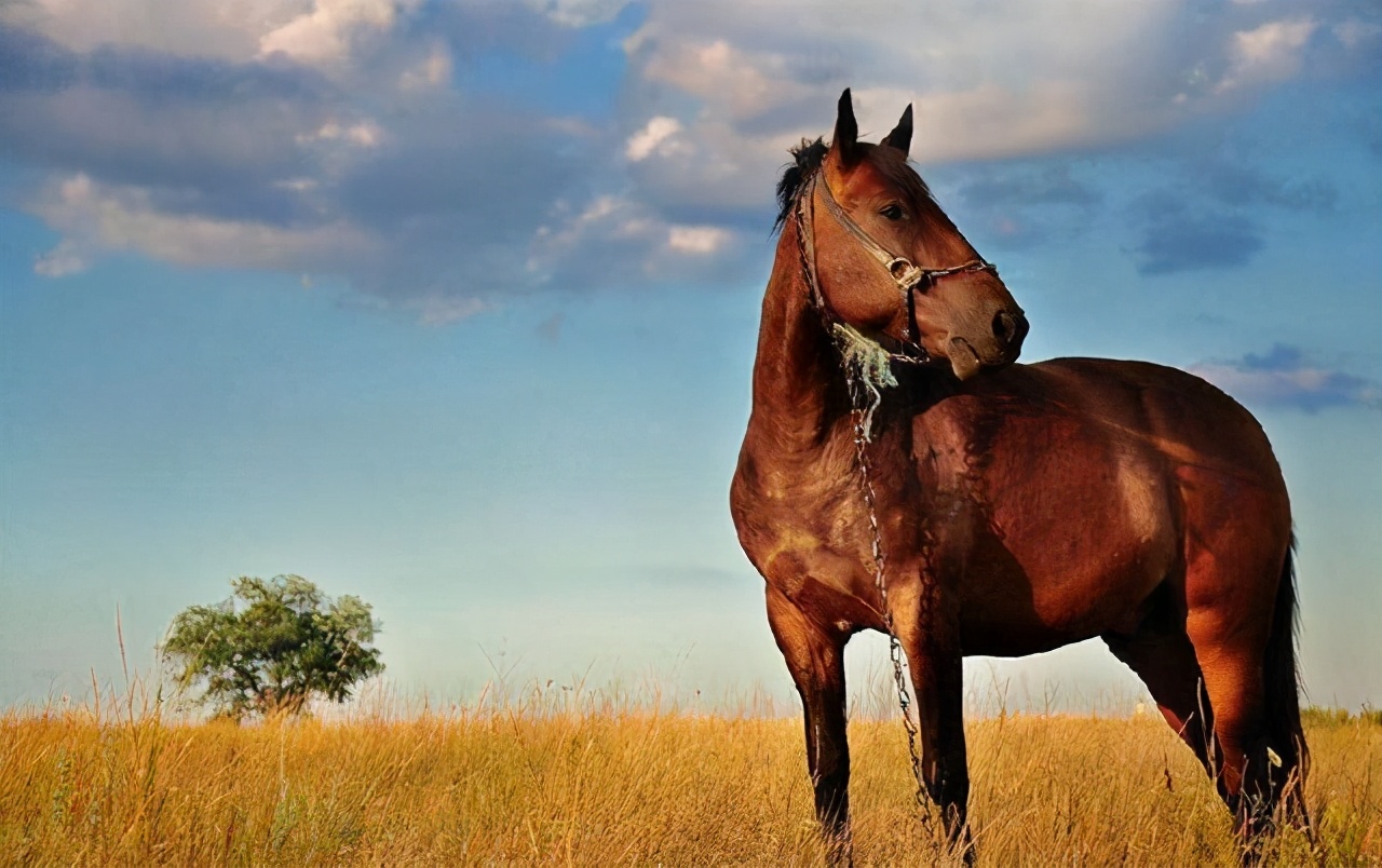 生活冷知识小常识,生活冷知识