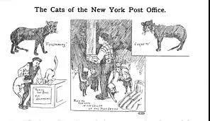 晚清末年,人们认为猫毛蓄电可以治病