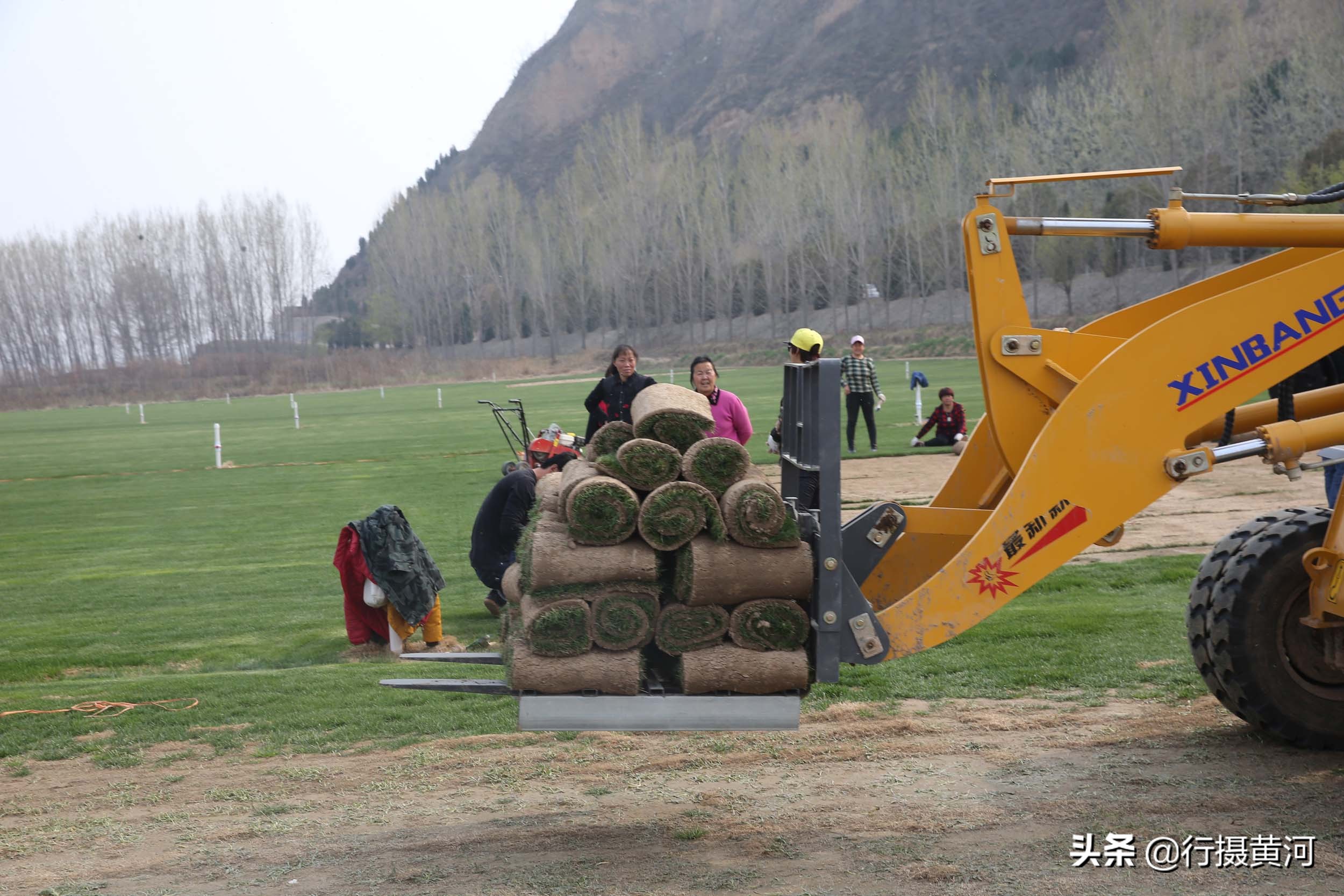 河南一小伙不务正业,小伙不务正业就想卖房卖地