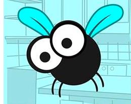 苍蝇消失了对地球有什么影响,苍蝇如果灭绝会造成什么后果