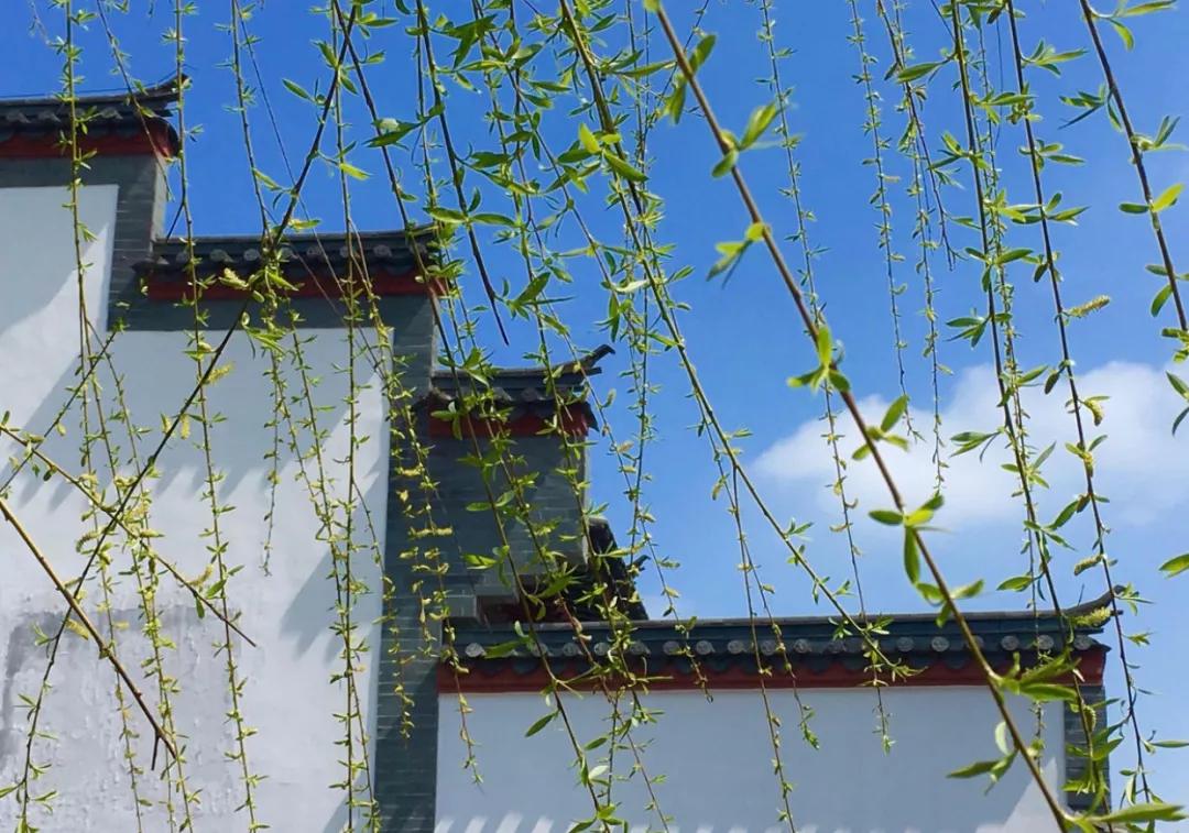 清明节雨纷纷追思故人,清明时节雨纷纷悼念故人