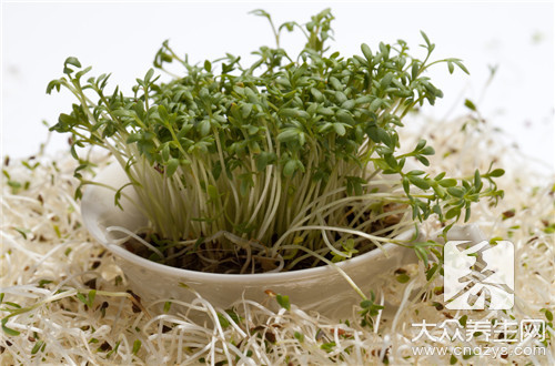 豆芽要不要去根,豆芽要不要焯水几分钟