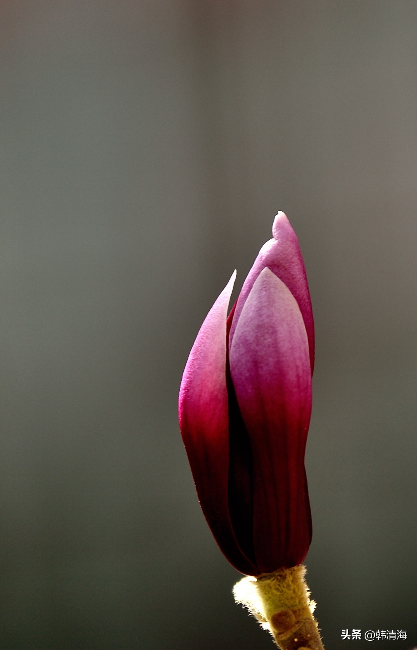 天津南开水畔花园洋房,天津南开区水畔花园