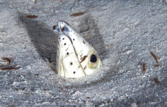 海底你不知道的东西,海底世界东海龙宫