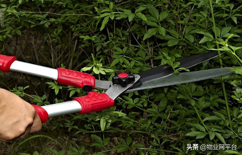 全球三大消费市场,园林市场的发展过程