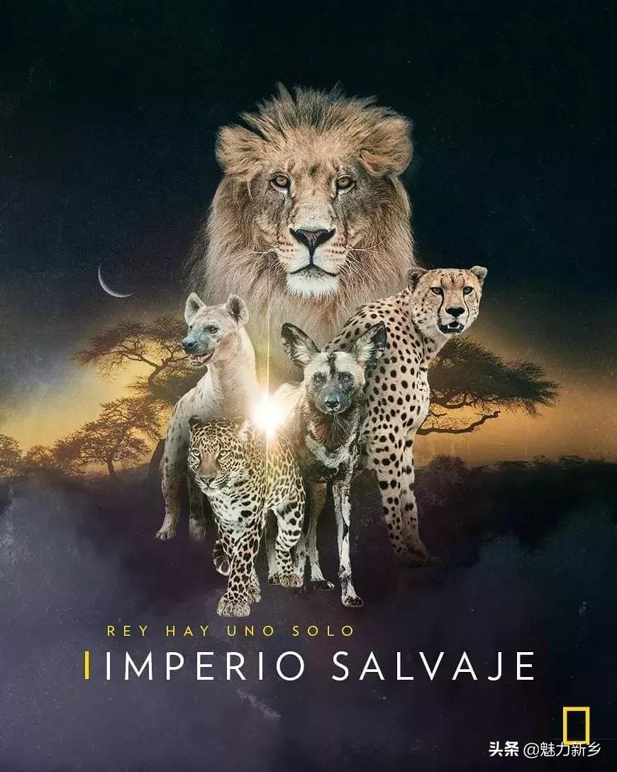 摄影欣赏:大开眼界,美国国家地理拉美官网的精彩大片