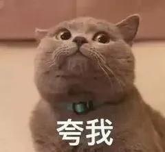 扬州一批学校迁建重点中学新址,扬州育才实验学校迁建新址