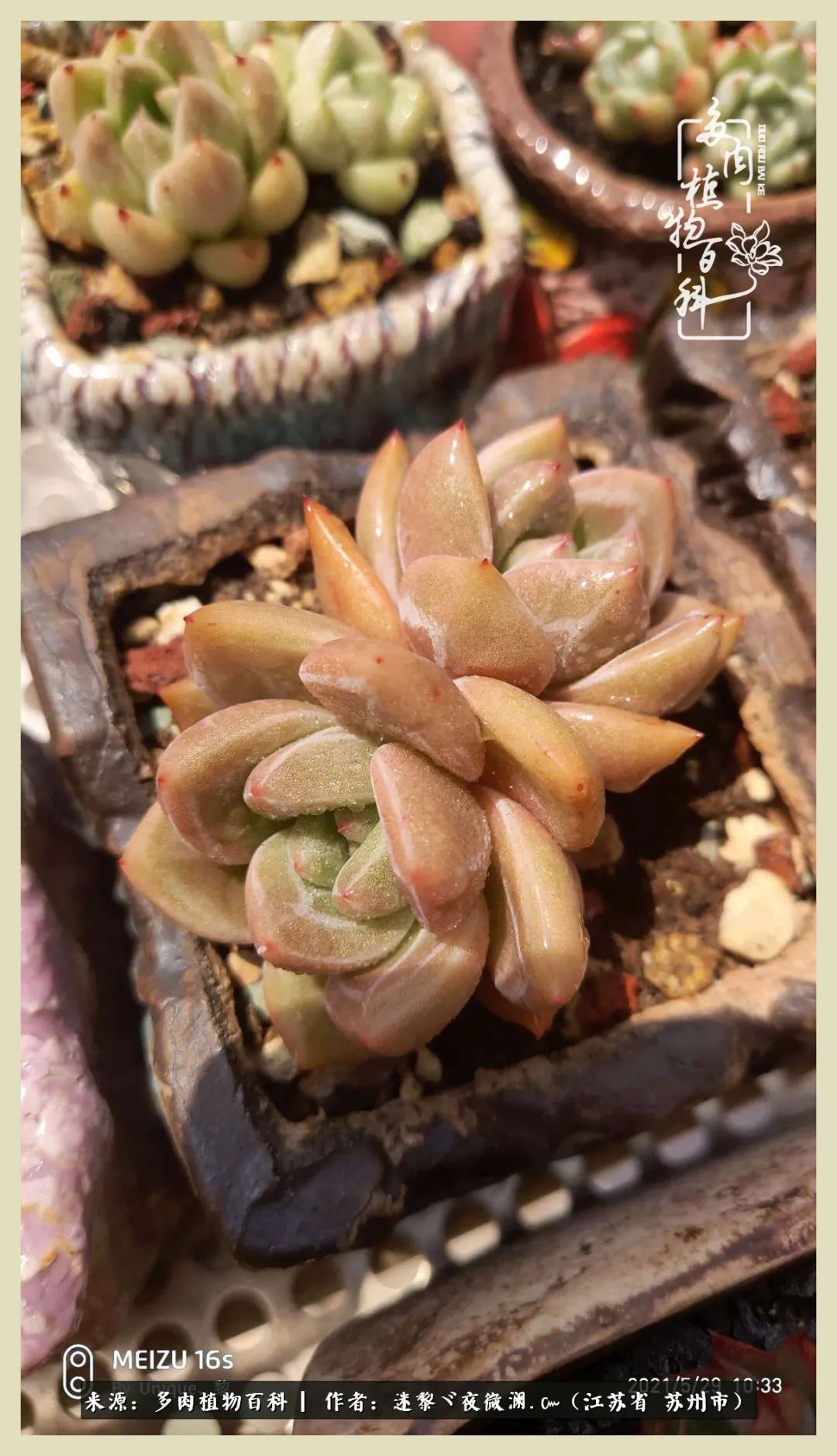 秋尽冬来岁月不居时节如流,岁月不居时节如流水