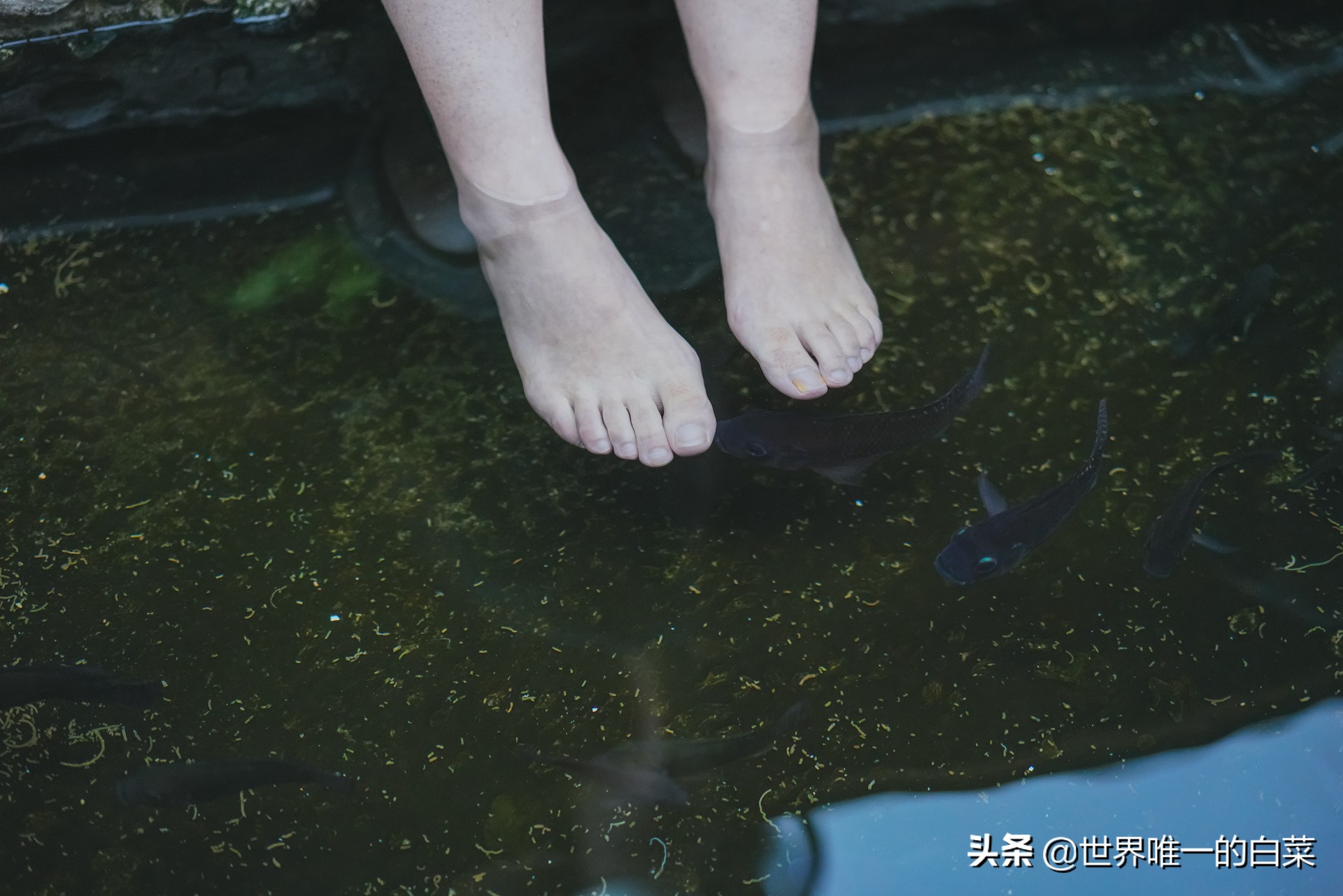 康定情歌川西旅游,318川西康定木格措