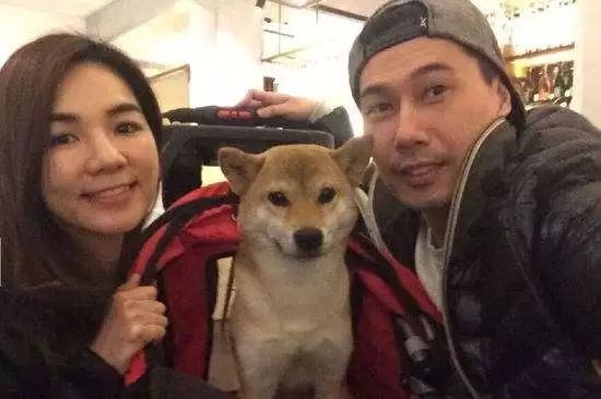 ella陈嘉桦情史,ella自曝感情史