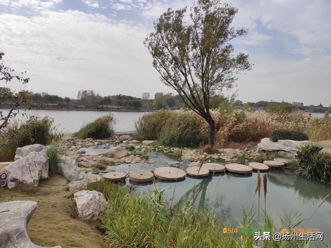 实地查看项目建设进展情况,2019城建10大工程具体项目