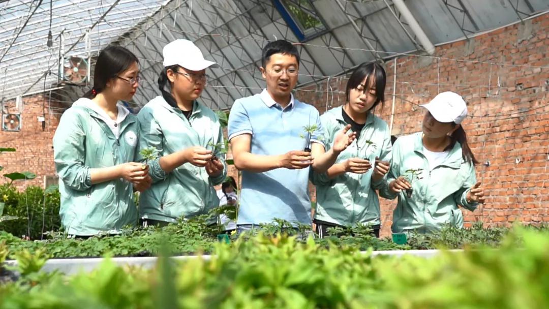 阜新高等专科学校招生视频,阜新高等专科学校招生