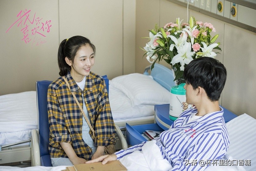 19年口碑最好的十部网剧,19年评分最高十大网剧排名