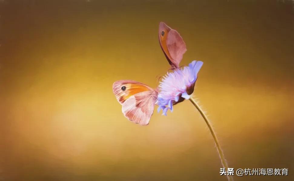 亲子关系疏远的真相,亲子之间的冷漠与关怀