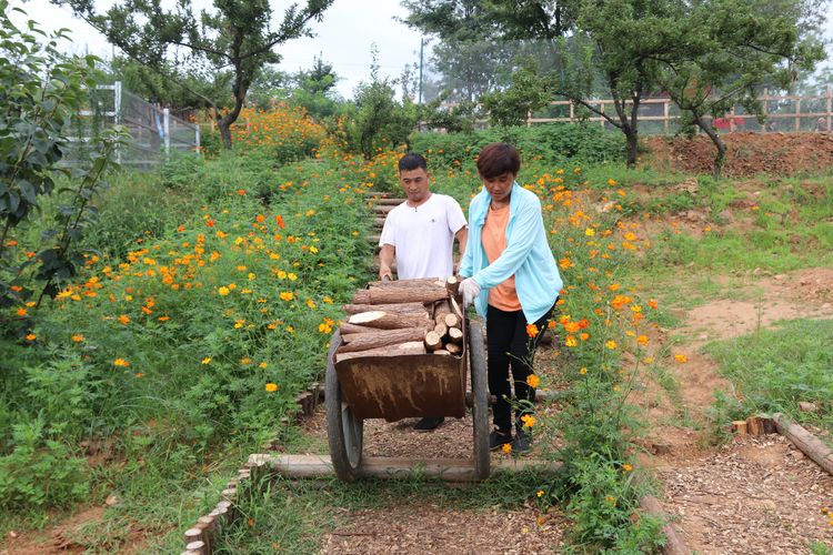 绿意绕绕一路行