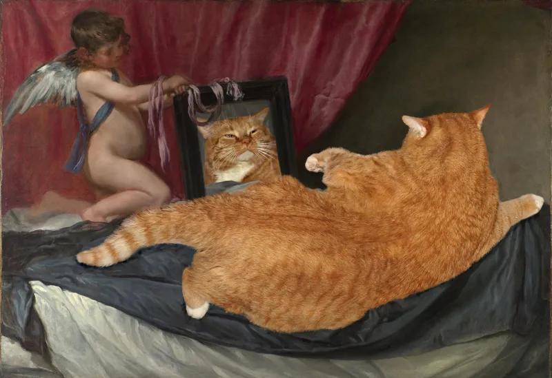世界名画橘猫,橘猫世界名画