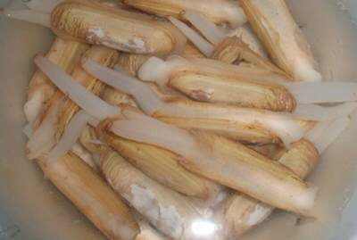 中国海鲜河鲜,市场河鲜海鲜种类大全