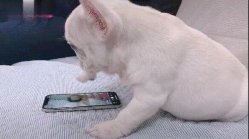 告别“两年必卡”魔咒,如何让手机变得更“长寿”?