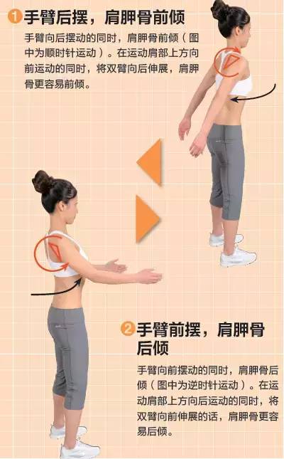 初学者如何进行拉伸,手把手拉伸