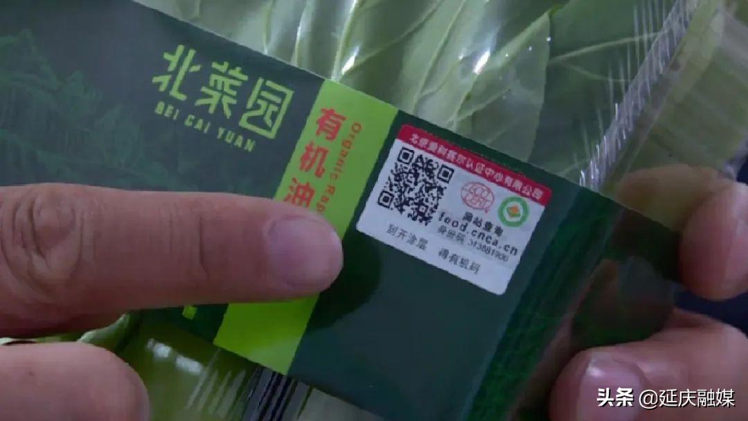 政协委员关于农业的提案,政协聚焦生态拿出更多提案建议