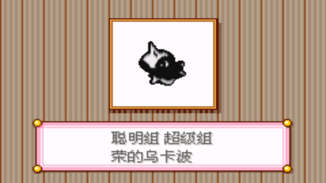 口袋妖怪究极绿宝石4.b攻略大全,口袋妖怪究极绿宝石4攻略详细版