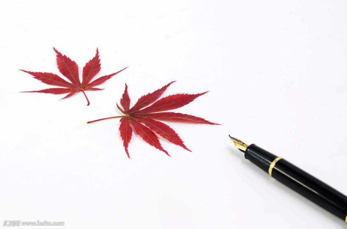 关于sci论文翻译的技巧,sci文章图片格式要求